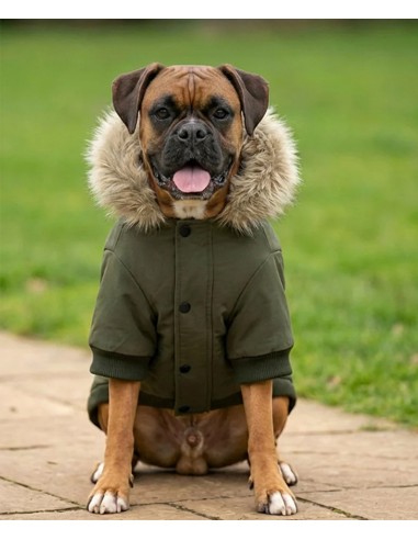 POT-PP006-Veste Parka pour chien